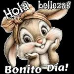 ¡Buenas noches!