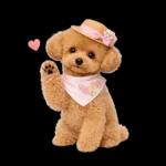 春♡とってもかわいいトイプードル