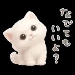 モフモフ白ネコ