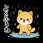 スタンプ・しば犬の梅雨だより