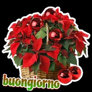 buongiorno - getsticker.com
