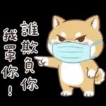 柴犬可愛諧音梗