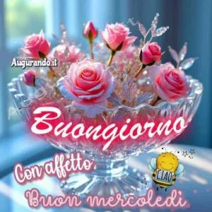 Buongiorno, Con affetto, Buon mercoledì, CIAO - getsticker.com
