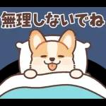 コーギーにとっての雨季と初夏
