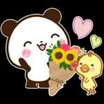 パンダ＆ひよこ 梅雨・夏