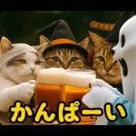 秋のネコたちにゃんだふる♡