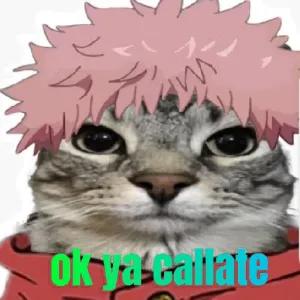 ok ya callate - getsticker.com