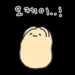 겨울철 부실감자 냉해주의