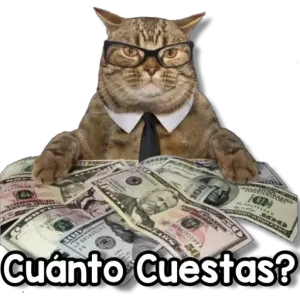 Cuánto Cuestas? - getsticker.com