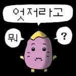 삶은... 고굼마