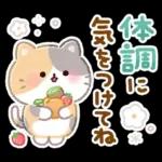 ふんわりにゃんこの春