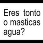 Eres tonto o masticas agua?
