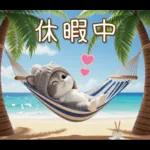 スコティッシュ猫 可愛いグレーニット 冬