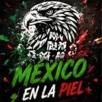Se agregaron nuevos stickers de fútbol