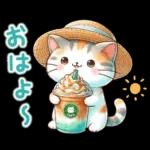 猫のつめあわせ【夏】