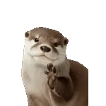 飛び出す！カワウソ