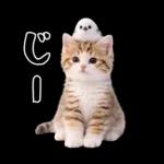 仲良し♡シマエナガと子猫ちゃん