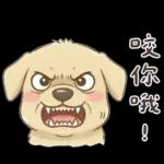 小拉拉 實用日常