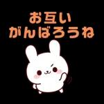 連絡白うさちゃん