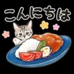 夏の毎日☆猫たちのスタンプ２