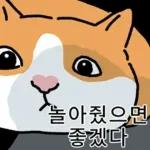 고양이 확대 2