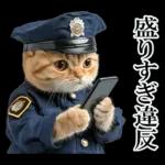 リアル猫警察官