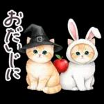 秋冬 毎日使える コスにゃんず 日常