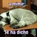 Unas nalgadas o que bb?