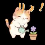 ぽかぽか春ねこライフ