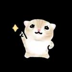 작아요 고먕이