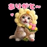 毎日使えるねこあいさつ