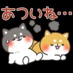 飛びだす！お返事シバイヌくん（雨の日）