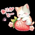 猫のつめあわせ⑤【春】