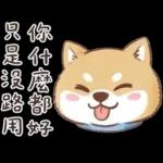 柴犬可愛諧音梗