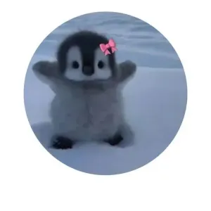 getsticker.com