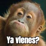 changos