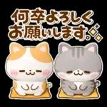 大人の気遣い♡立体ねこねこにゃんこ