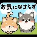 飛び出す！シバイヌの日常敬語スタンプ