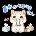 猫のつめあわせ⑤【春】