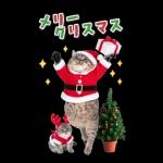 毎年使える♪リアルなにゃんこの年末年始