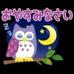大人女子の日常