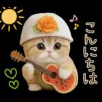 スコティッシュ猫 カラフル帽 夏 敬語