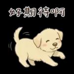 小拉拉 實用日常