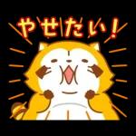 まんまるラスカル☆ヘルシーになろう