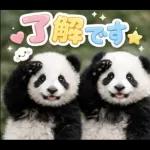 飛び出す♡まいにちパンダ