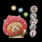 おひとよしネコチャン⭐️3Dフロッキー 1