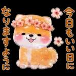 ぷくつやシール春❤️いやしばいぬ❤️犬敬語