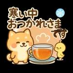 あったか柴犬の冬ごあいさつ