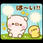 ポコちゃんピッグスプリングポップアップ