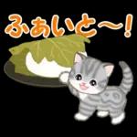 ころころ子猫と春スイーツ